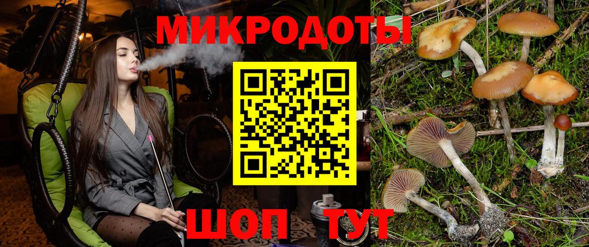 Галлюциногенные грибы Psilocybine cubensis Янаул